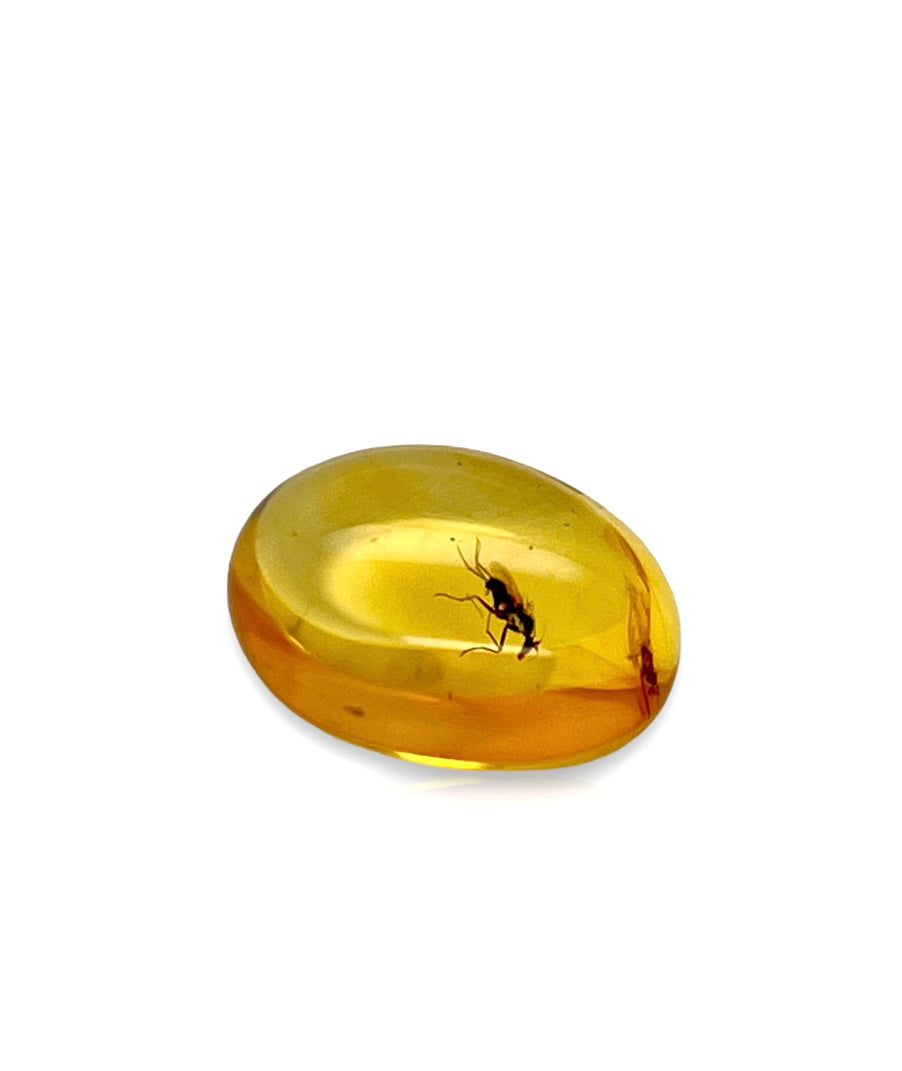 Baltic Amber with insects